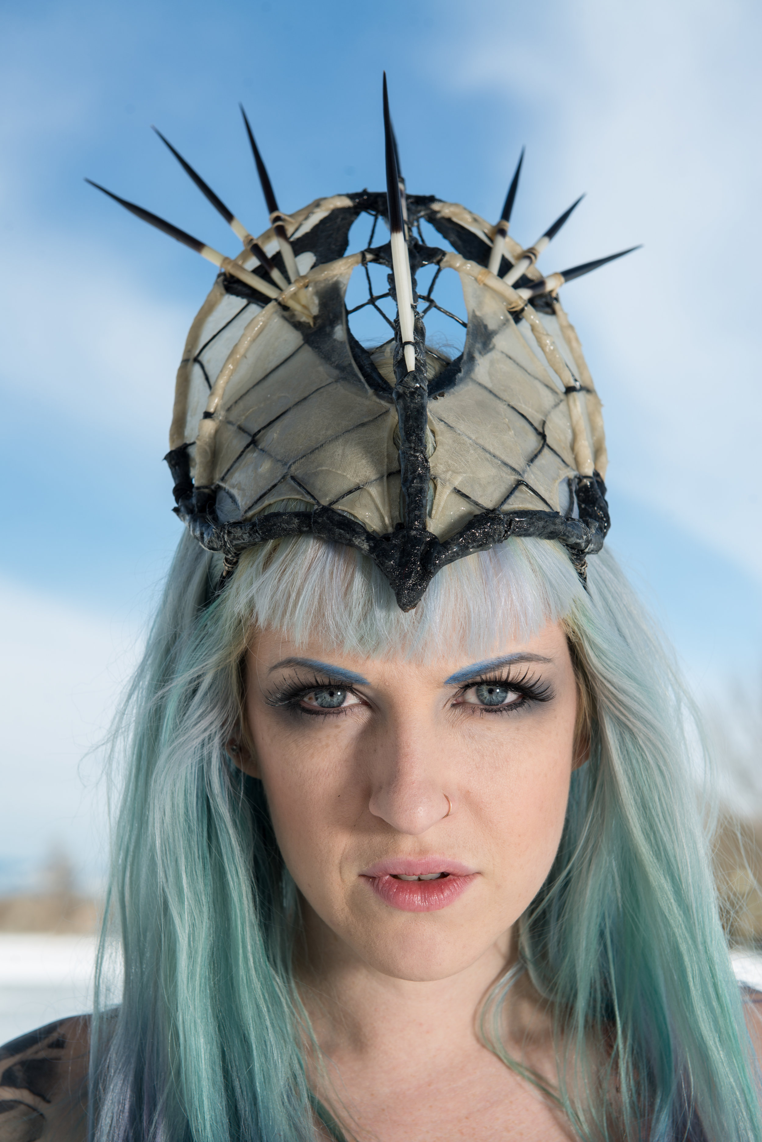 porcupine_cover1.jpg
